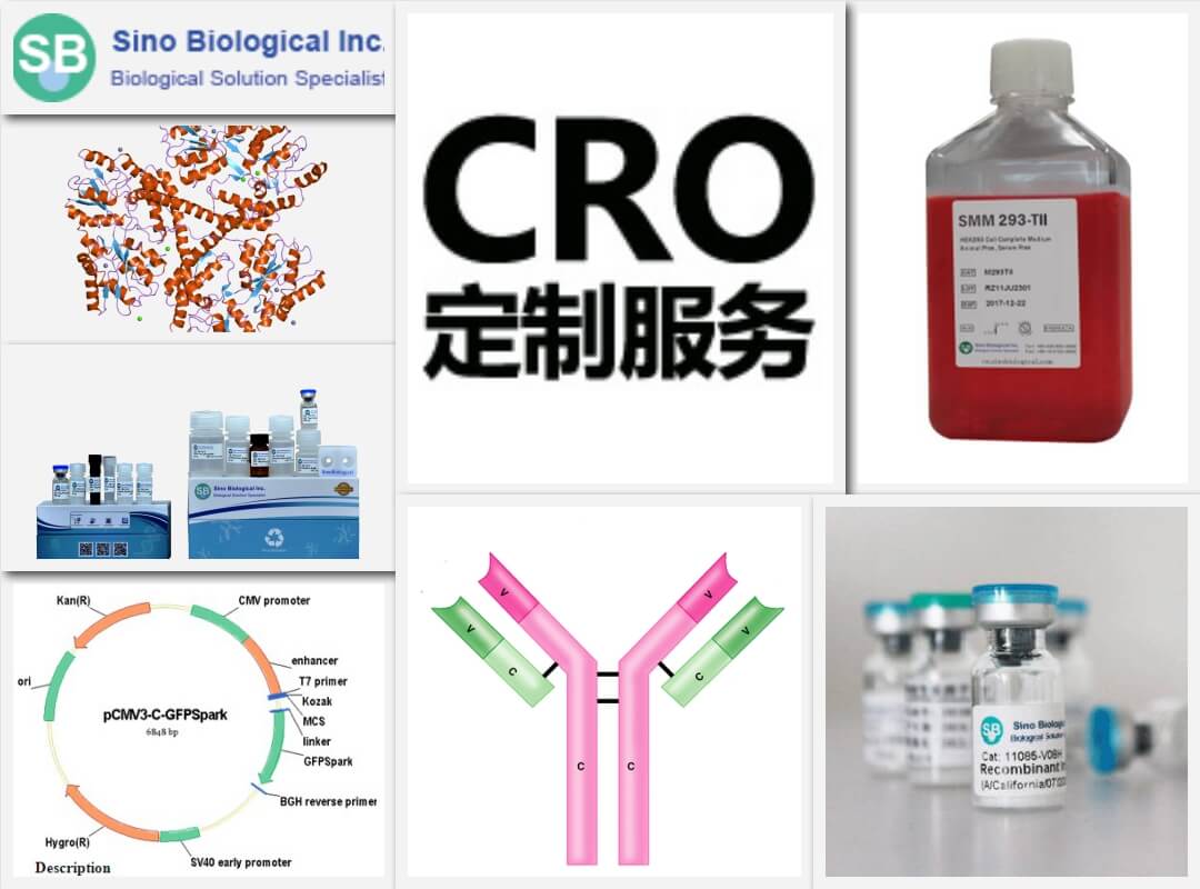 義翹神州北京一級(jí)代理商,銷(xiāo)售義翹神州重組蛋白、基因、培養(yǎng)基等