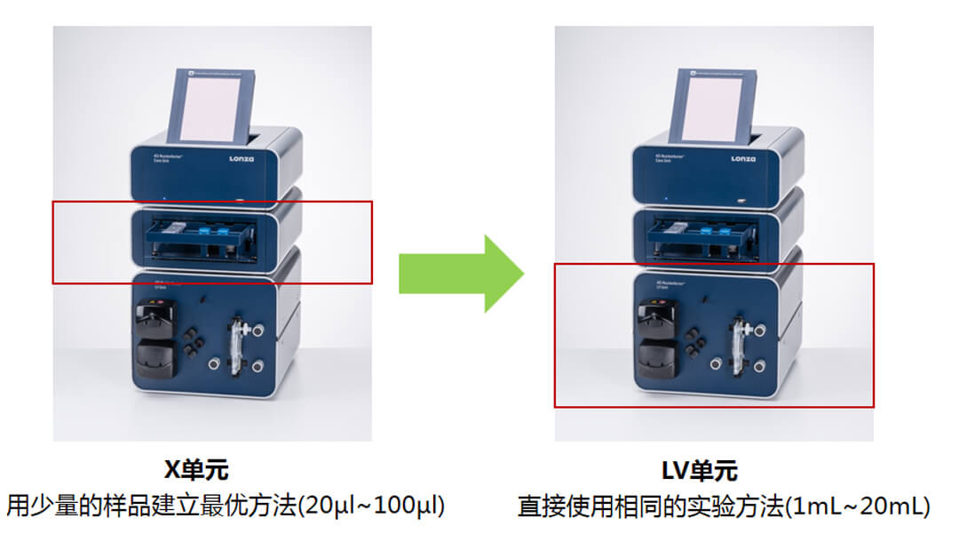 4d-nucleofector x單元轉染程序直接用于LV單元