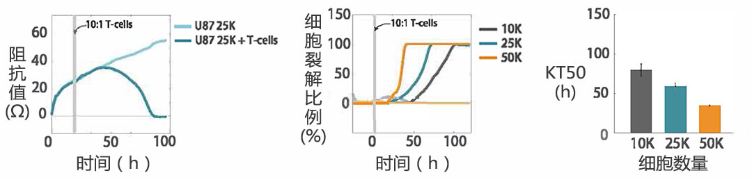Axion Biosystems MAESTRO Z實時無標記細胞分析儀