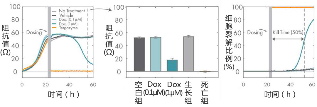 Axion Biosystems MAESTRO Z實時無標記細胞分析儀