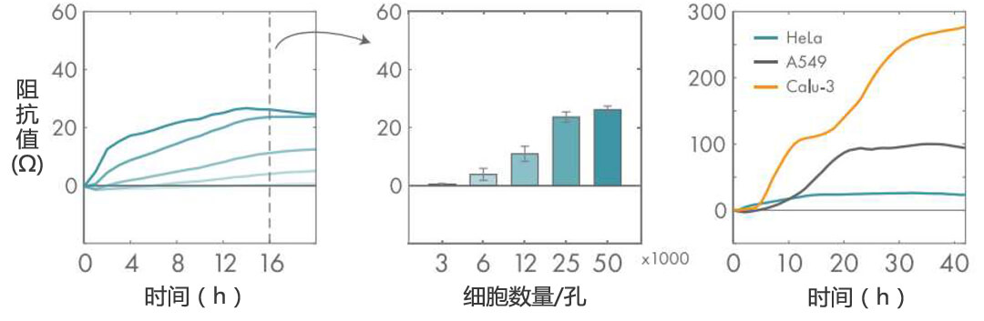 Axion Biosystems MAESTRO Z實時無標記細胞分析儀
