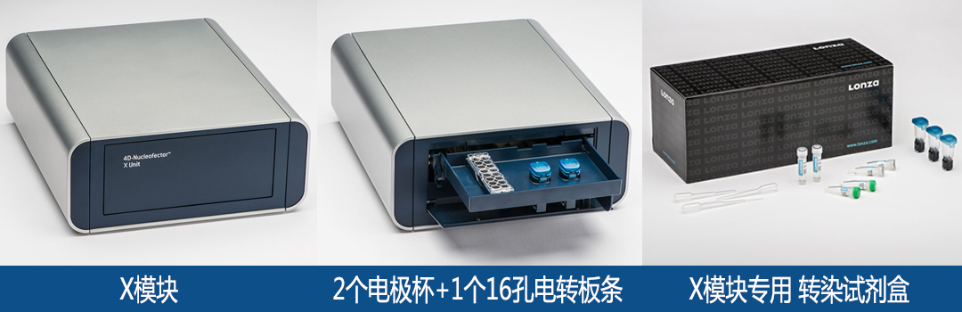 Lonza 4D-Nucleofector x模塊 x單元