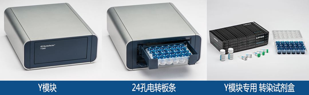 Lonza 4D-Nucleofector y模塊 y單元