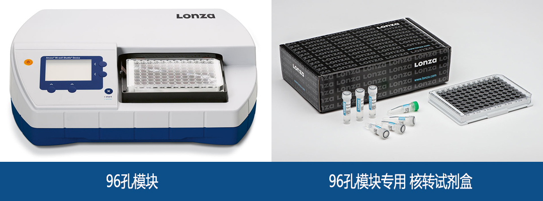 Lonza 4D-Nucleofector 96孔模塊 96孔單元
