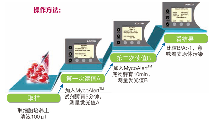 Lonza MycoAlert支原體檢測試劑盒