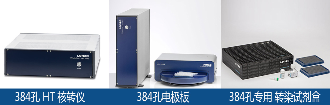 lonza Nucleofector 384孔模塊轉染試劑盒
