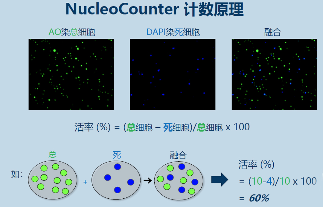 Chemometec NucleoCounter細胞計數儀
