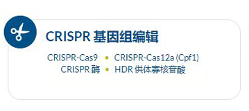 IDT CRISPR/Cas9݋ϵy ƽ