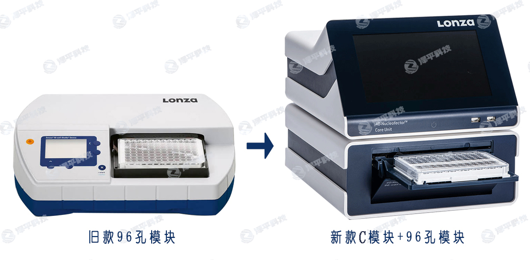 Lonza 4D-Nucleofector 96׼DȾģKһ