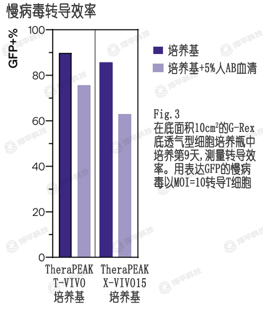 病毒轉導,T-VIVO培養基提供更高的T細胞轉染效率 北京澤平