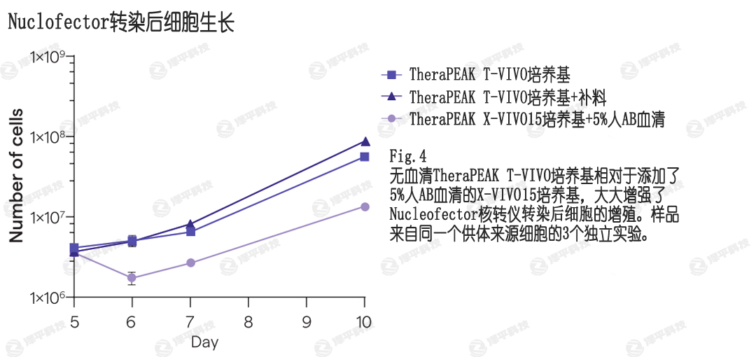 Nucleofecter電轉染,T-VIVO培養基提供更高的轉染后細胞增殖 北京澤平