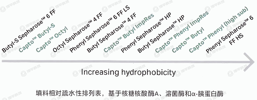 cytiva疏水層析填料相對疏水性排列表 代理商北京澤平
