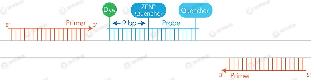 IDTrɹⶨPCR qPCR̽ᘺϳɷմ̱ƽ