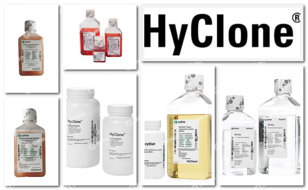 ¡HycloneB̥ţѪ̱ƽ