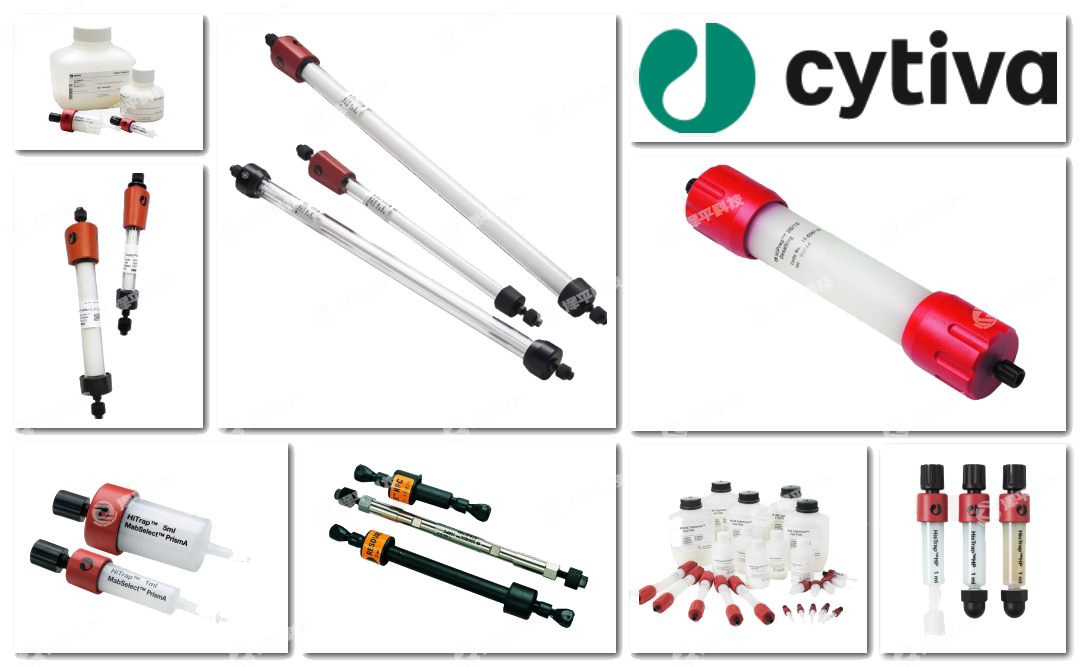Cytivaϴ̱ƽ