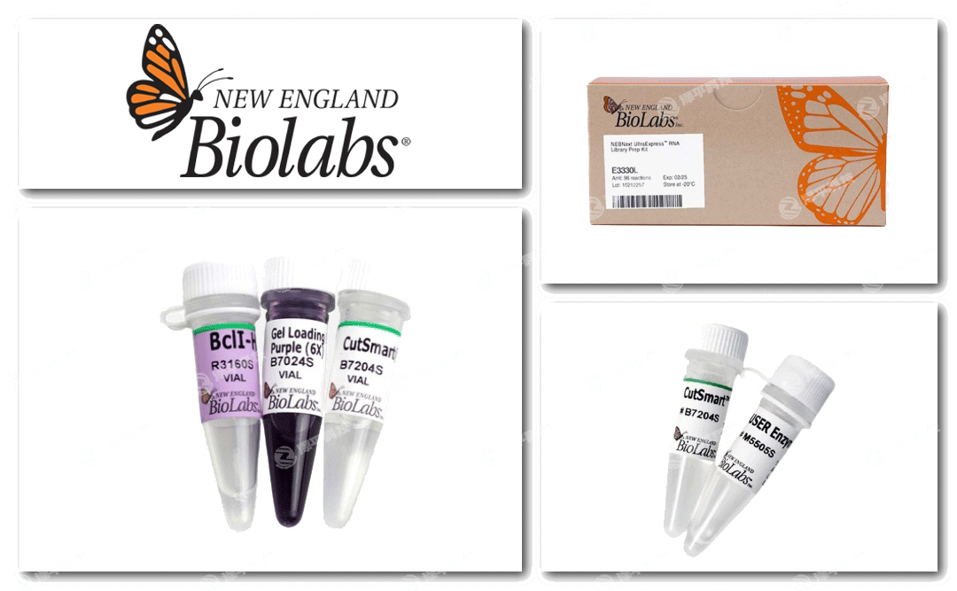 New England Biolabs, NEB官方授權一級代理商北京澤平